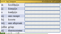 4.11 Hebben of zijn