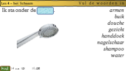 4.3 Vul de woorden in