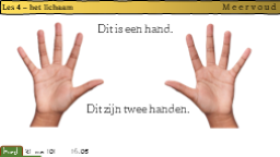 4.4 Meervoud