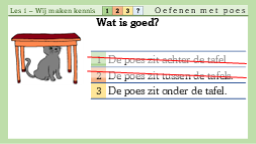 1.28 Waar zit de poes - vragen