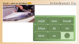 6.21 Schuifpuzzel Vis